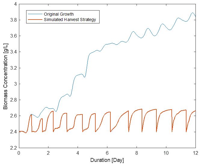 Beispiel für eine optimierte Erntestrategie im Freiland.jpg