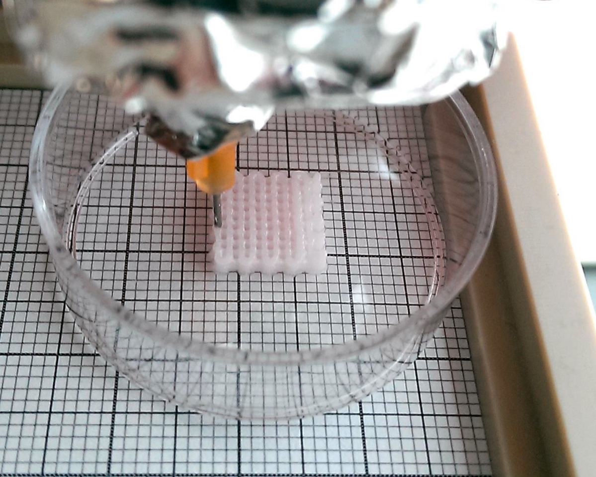 3D printing of a bone ink.