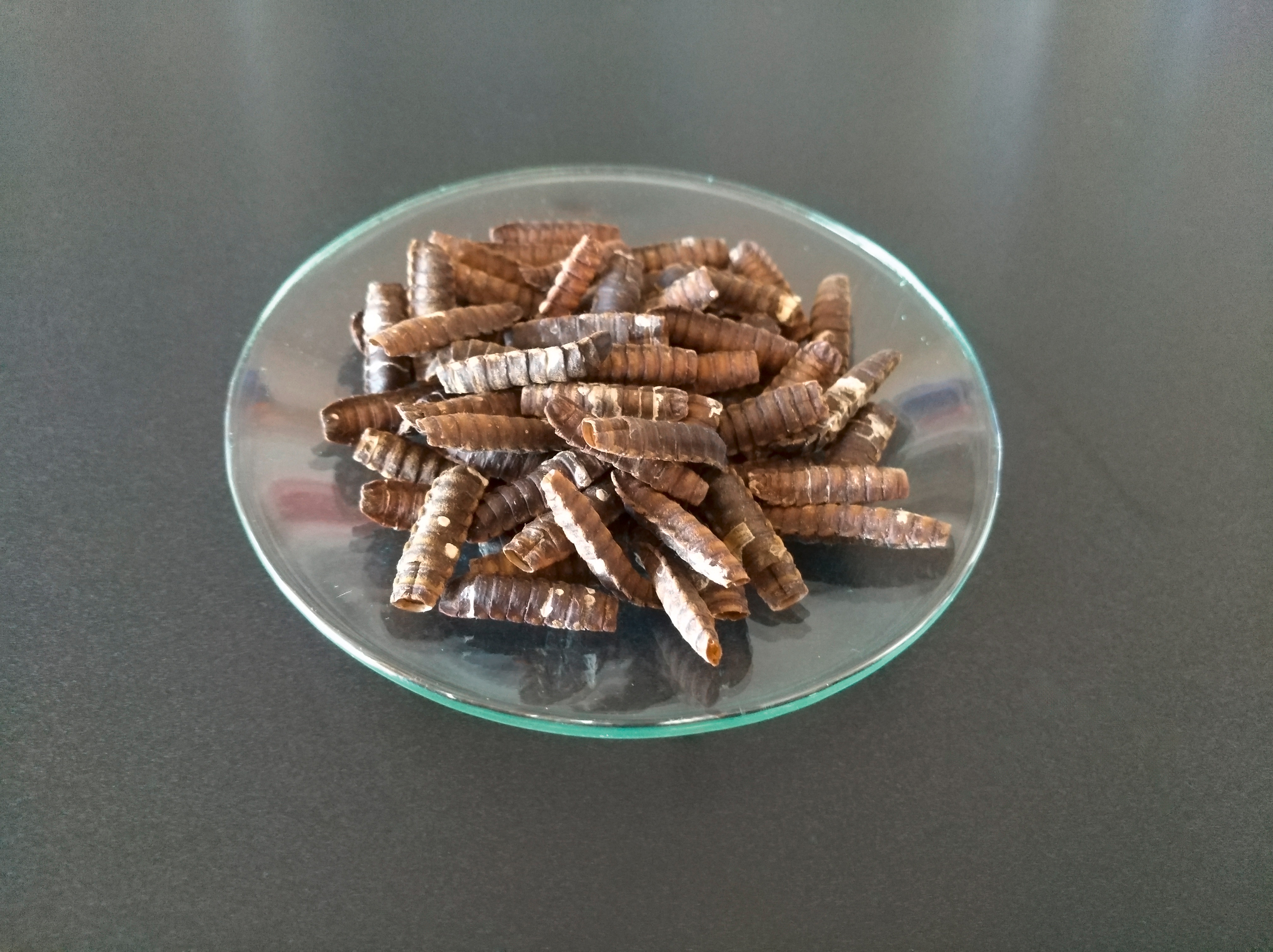 Insect cocoons as a renewable source of chitin. Insect cocoons as a renewable source of chitin.