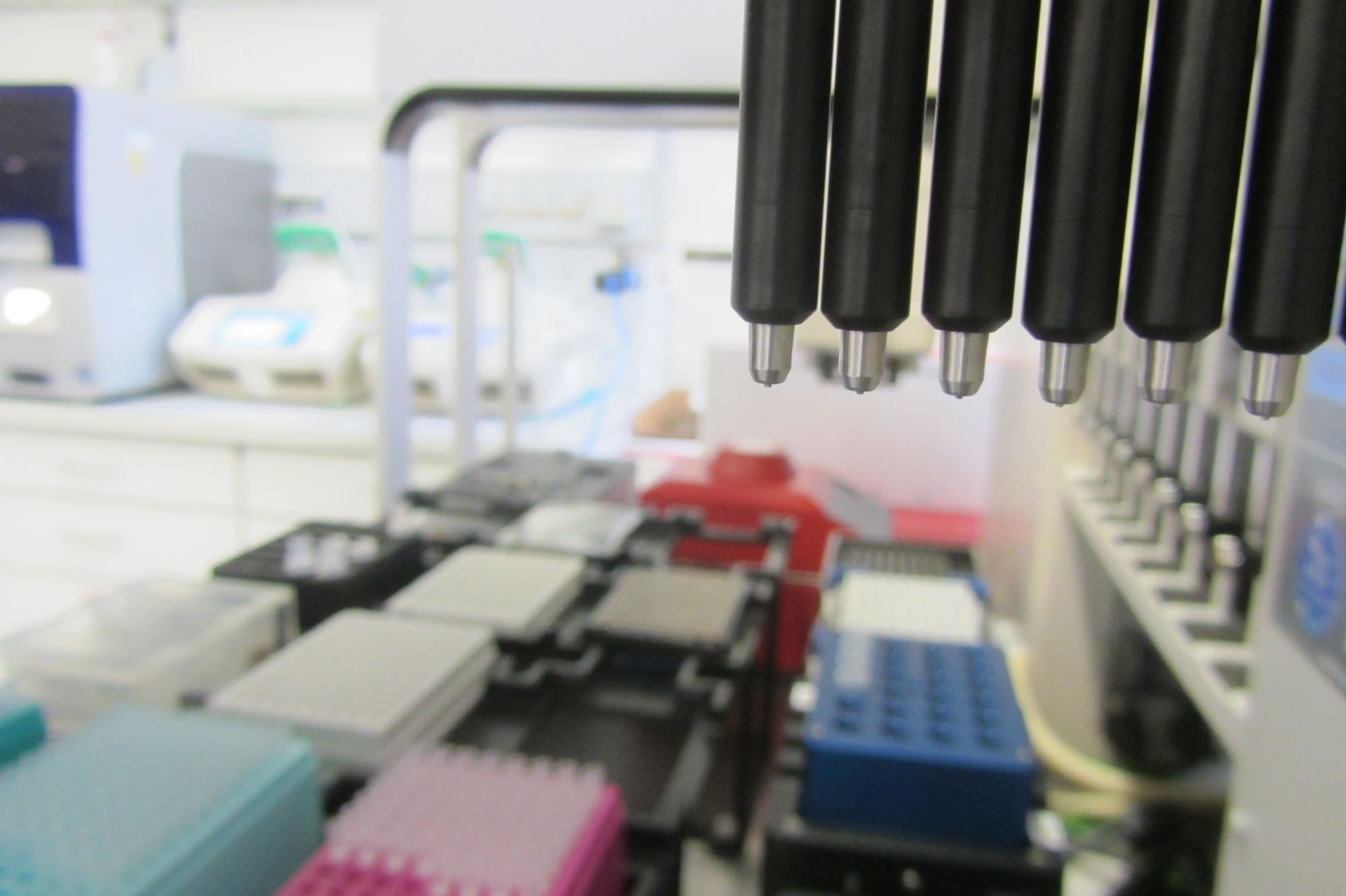 Sample preparation. Sample preparation.